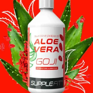 JUS ET PULPE D’ALOE VERA AVEC DU GOJI